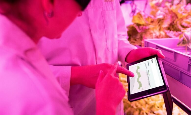 maximize your digital growth